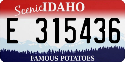 ID license plate E315436