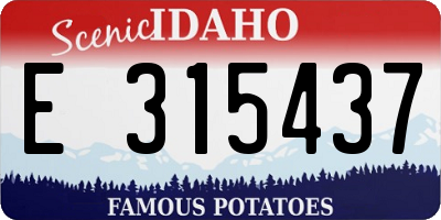 ID license plate E315437