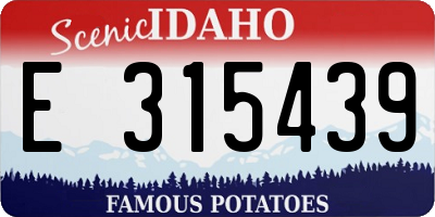 ID license plate E315439