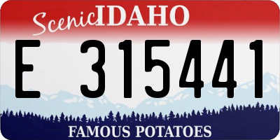 ID license plate E315441