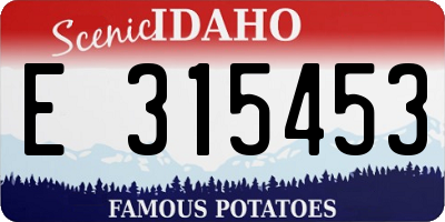 ID license plate E315453