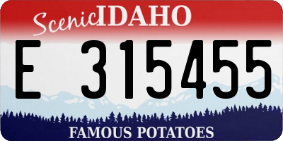 ID license plate E315455