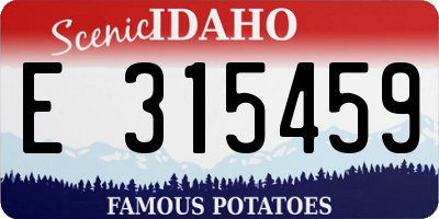 ID license plate E315459