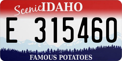 ID license plate E315460