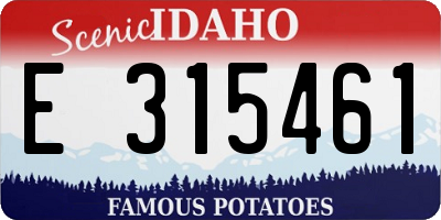 ID license plate E315461