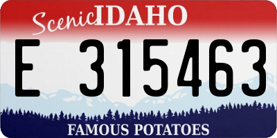 ID license plate E315463