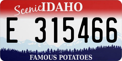 ID license plate E315466