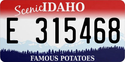 ID license plate E315468