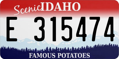 ID license plate E315474
