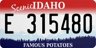 ID license plate E315480
