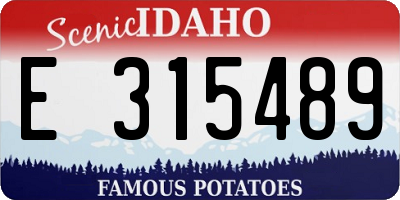 ID license plate E315489