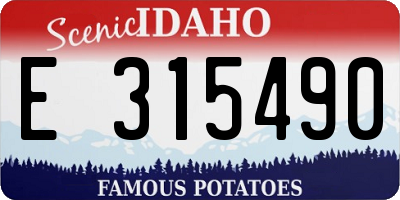 ID license plate E315490