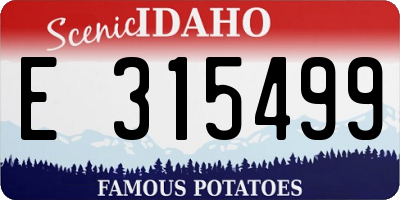 ID license plate E315499