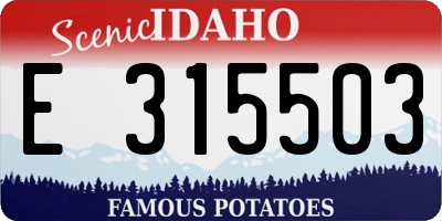ID license plate E315503