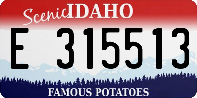 ID license plate E315513