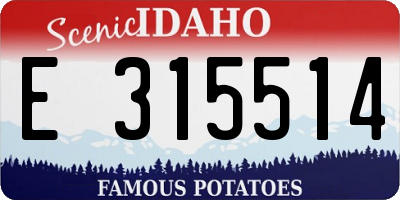 ID license plate E315514