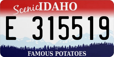 ID license plate E315519