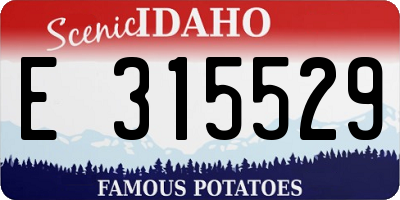 ID license plate E315529