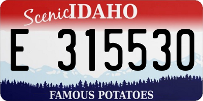 ID license plate E315530