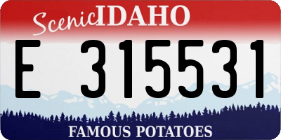 ID license plate E315531
