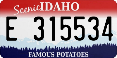 ID license plate E315534