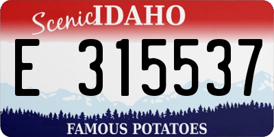 ID license plate E315537