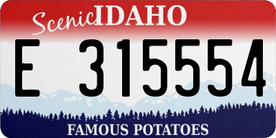 ID license plate E315554