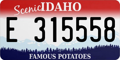 ID license plate E315558