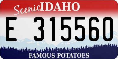 ID license plate E315560