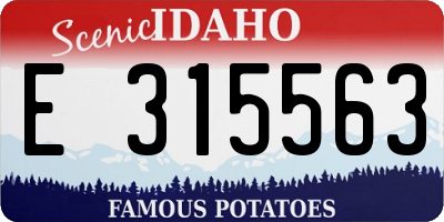 ID license plate E315563