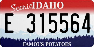 ID license plate E315564