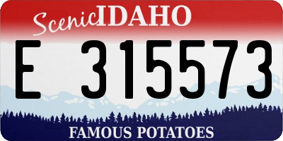ID license plate E315573