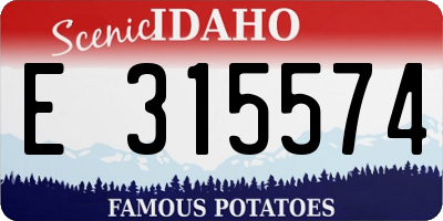 ID license plate E315574