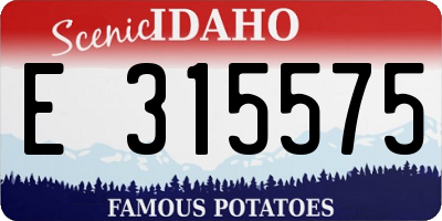 ID license plate E315575