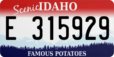 ID license plate E315929