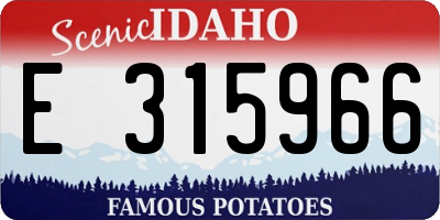 ID license plate E315966