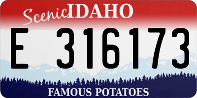 ID license plate E316173