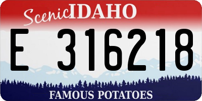 ID license plate E316218