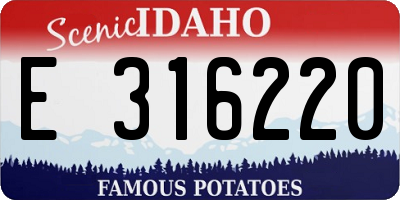 ID license plate E316220