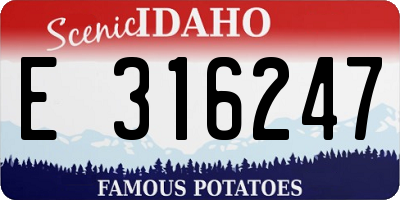 ID license plate E316247