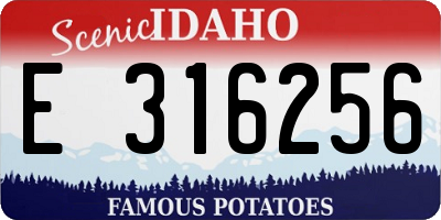 ID license plate E316256