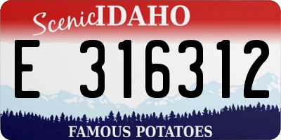 ID license plate E316312