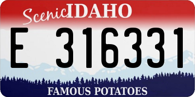 ID license plate E316331