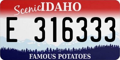 ID license plate E316333