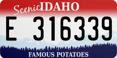 ID license plate E316339