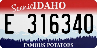 ID license plate E316340