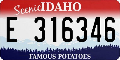 ID license plate E316346