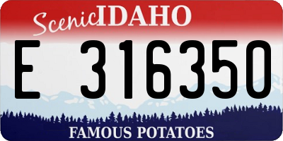 ID license plate E316350