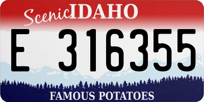 ID license plate E316355