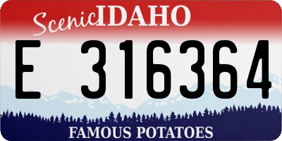 ID license plate E316364